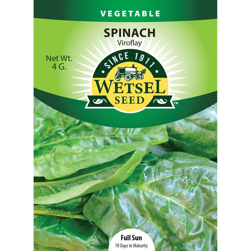 Wetsel Seed Viroflay Spinach Seed