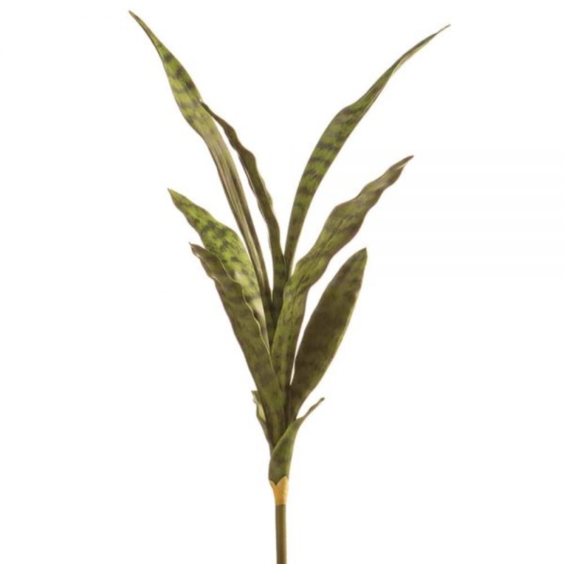 27″ Sansevieria Plant