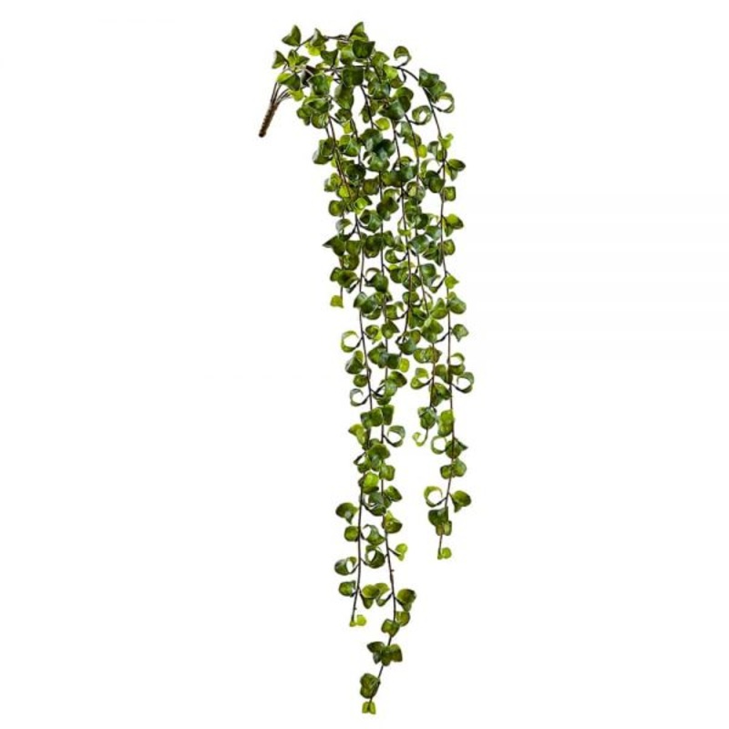 36″ Curly Leaf Hanging Vine