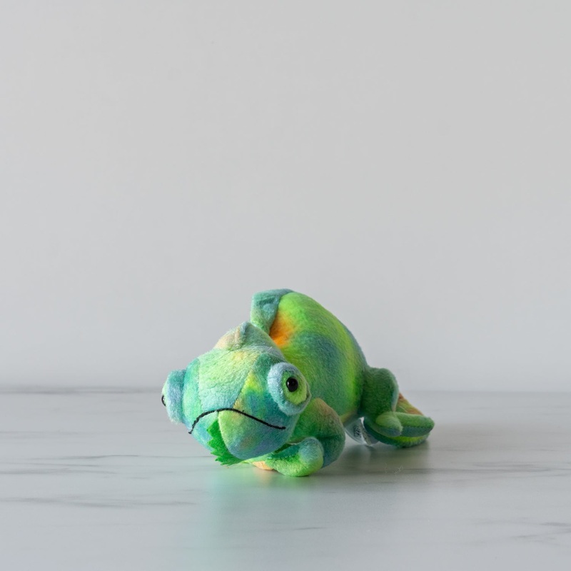 Conrad the Chameleon