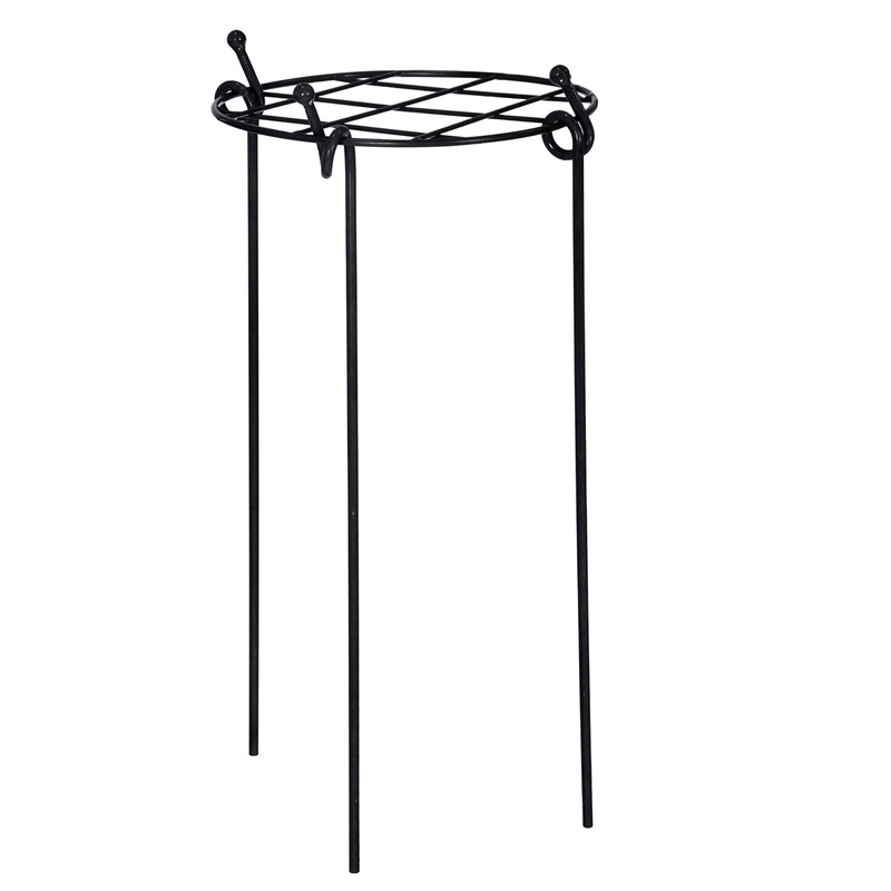 Charlbury Grow Through Plant Support – Small