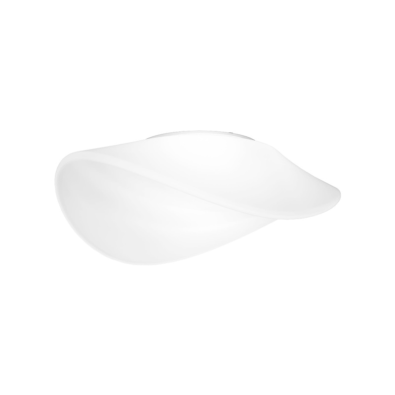 Balance Ceiling/Wall Light