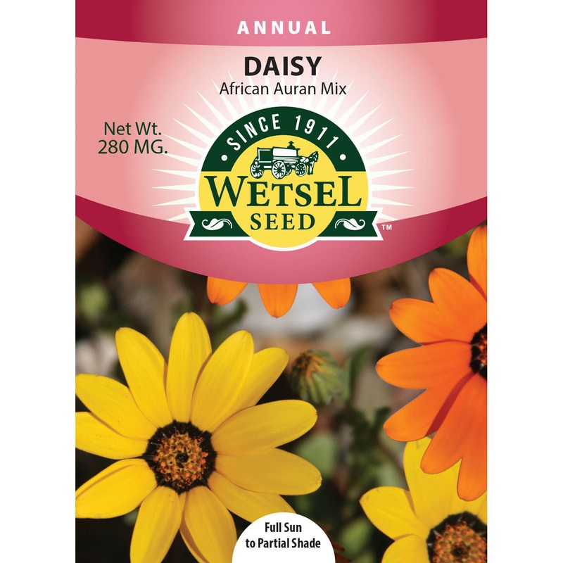Wetsel Seed African Auran Mix Daisy Seed