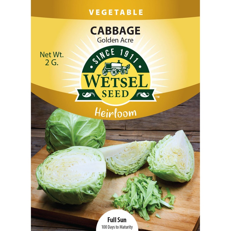 Wetsel Seed Heirloom Cabbage Early Golden Acre Seed