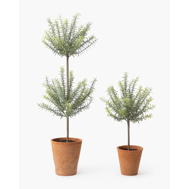 Potted Faux Rosemary Topiary