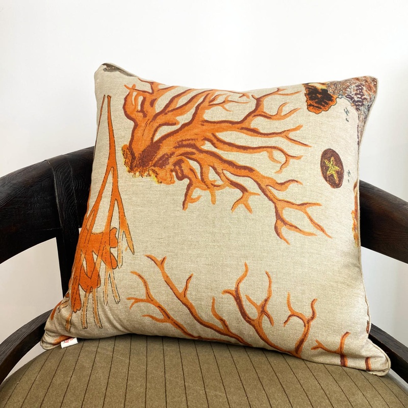 Orange Coral