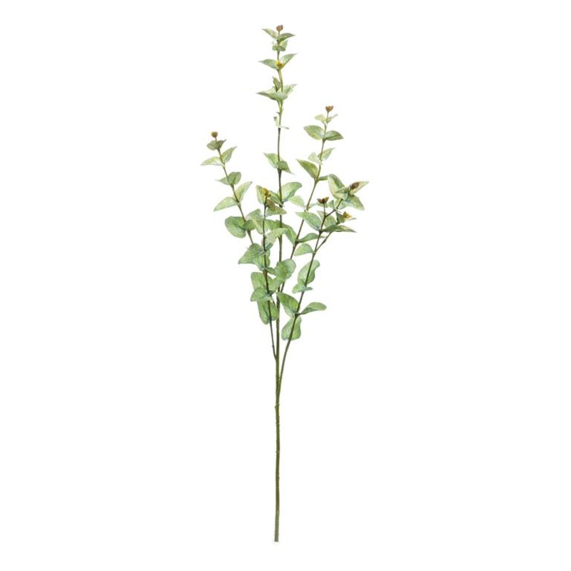 Sage Cider Gum Spray