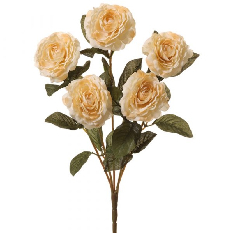 19″ Camellia Bush