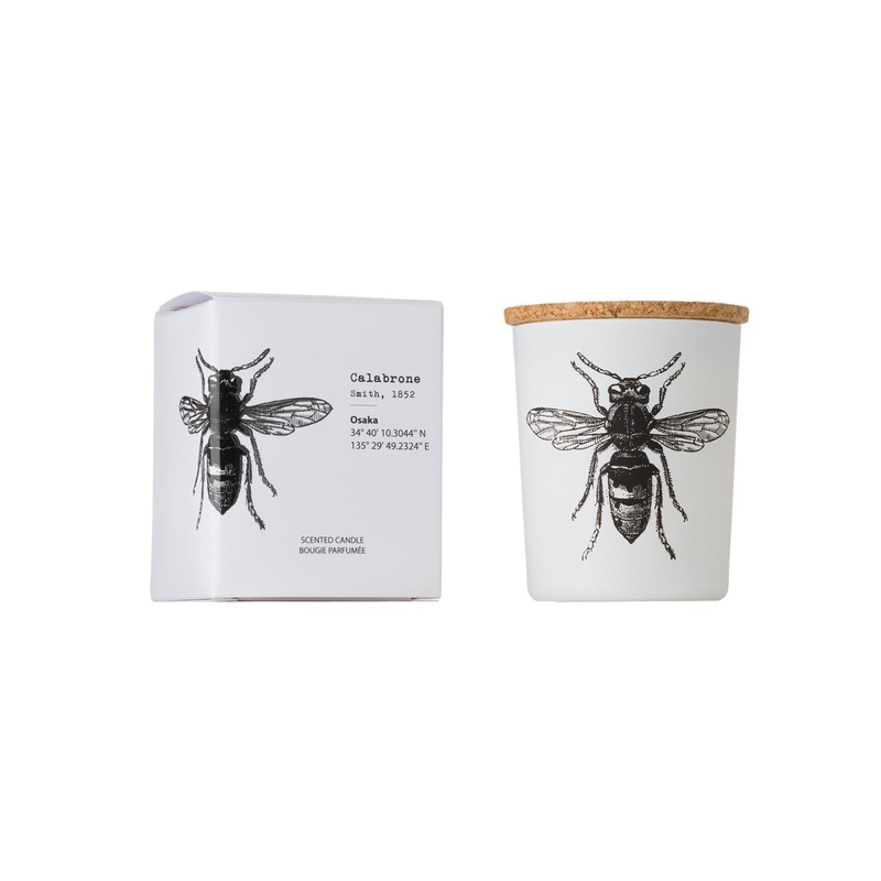 Candle in Jar INSECT Wood Wick 75gr
