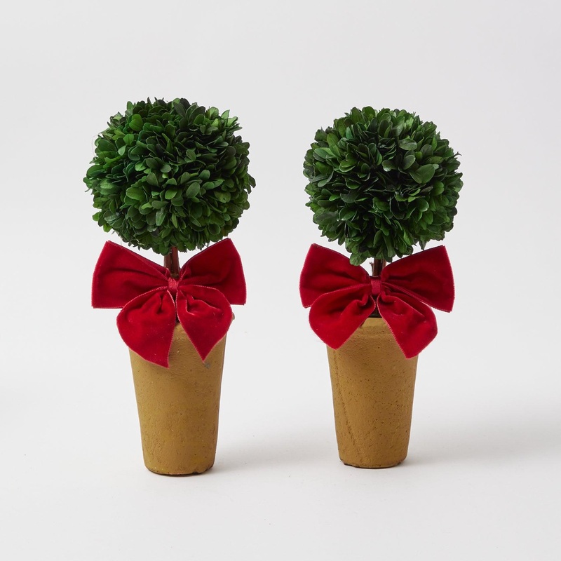 Red Ribboned Potted Boxwood Ball (Pair)