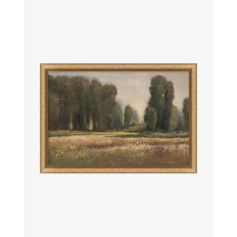 Field in Summer