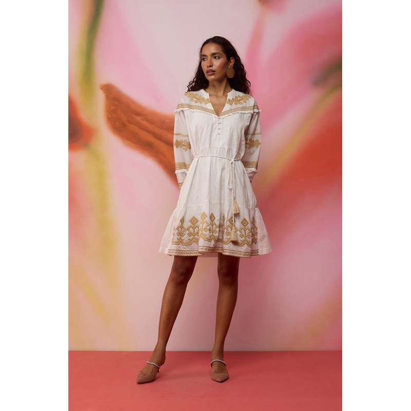 Scattered Stars Indonesian Embroidery Mini Dress