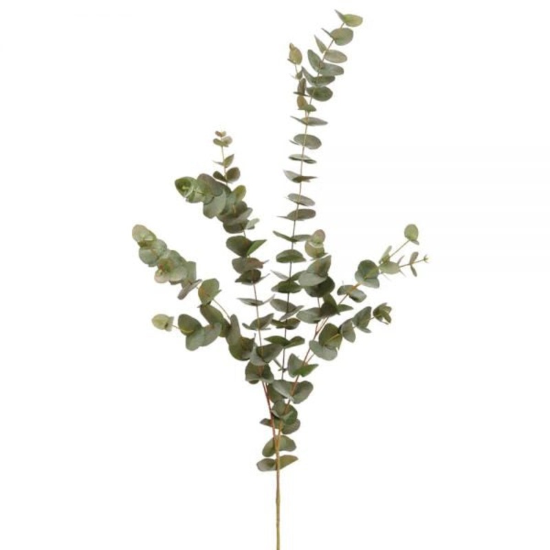 47″ Eucalyptus Branch Green Gray