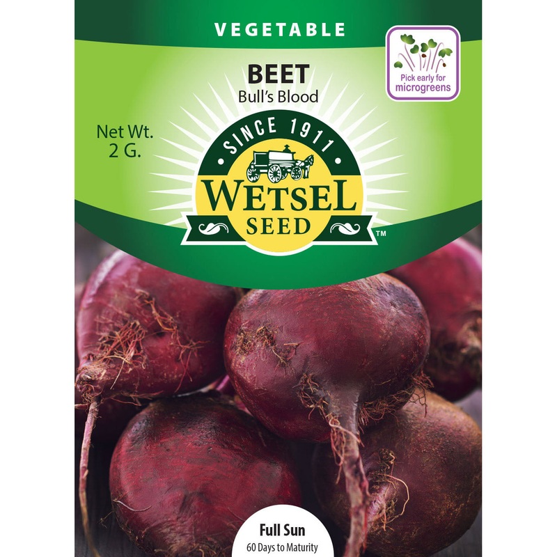 Wetsel Seed Bull’s Blood Beet Seed