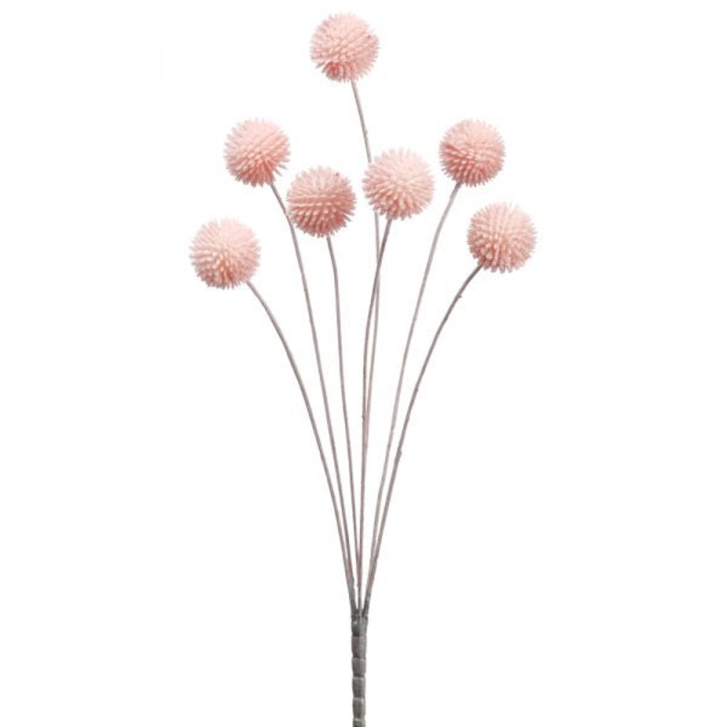 21″ Billy Button Bundle