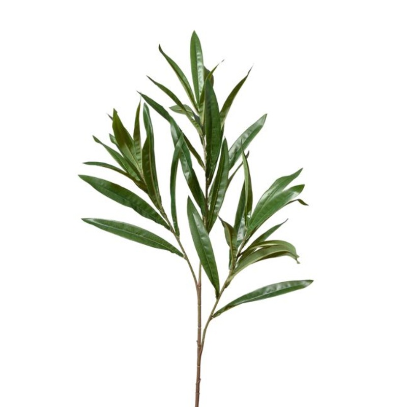Primrose Willow Spray