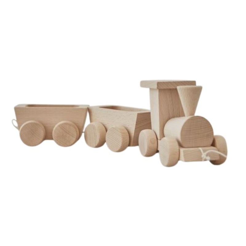 Pull Along Train with Carriage