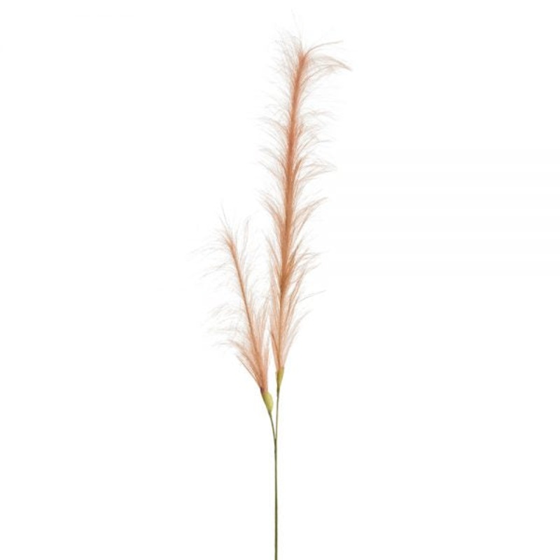 49″ Pampas Grass Stem  Pink