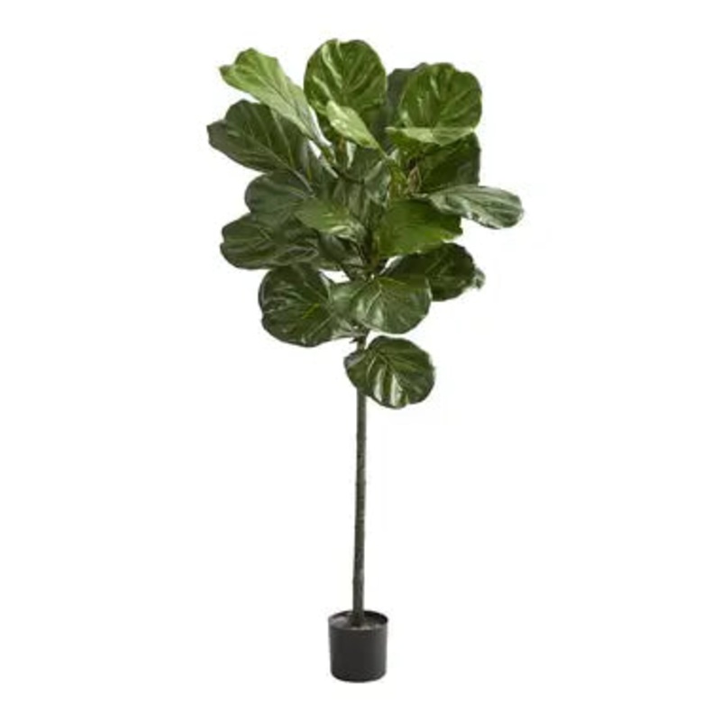 7′ Fiddle Leaf Tree