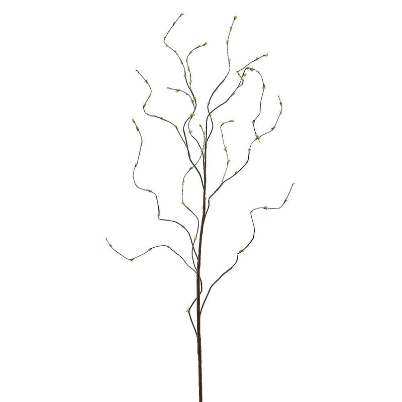 Curly Willow Branch