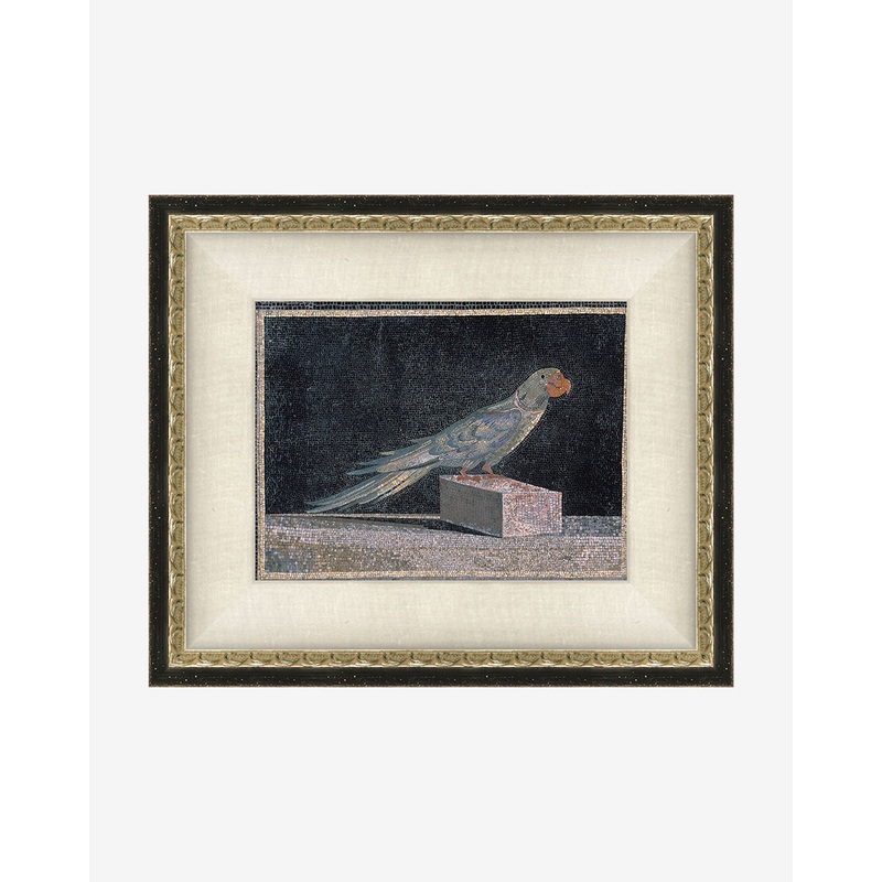 Blue Parrot