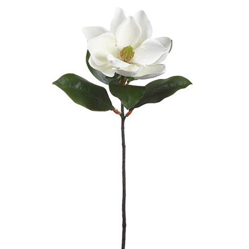 24″ Magnolia Stem White