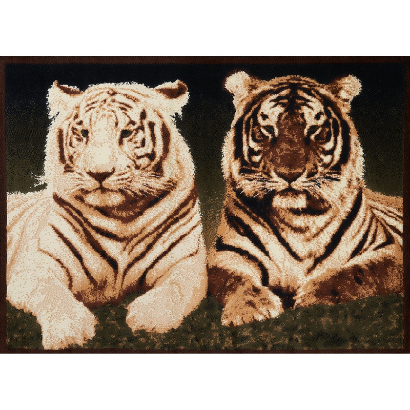 910-Tiger Colors Synthetic Blend Indoor Area Rug by United Weavers