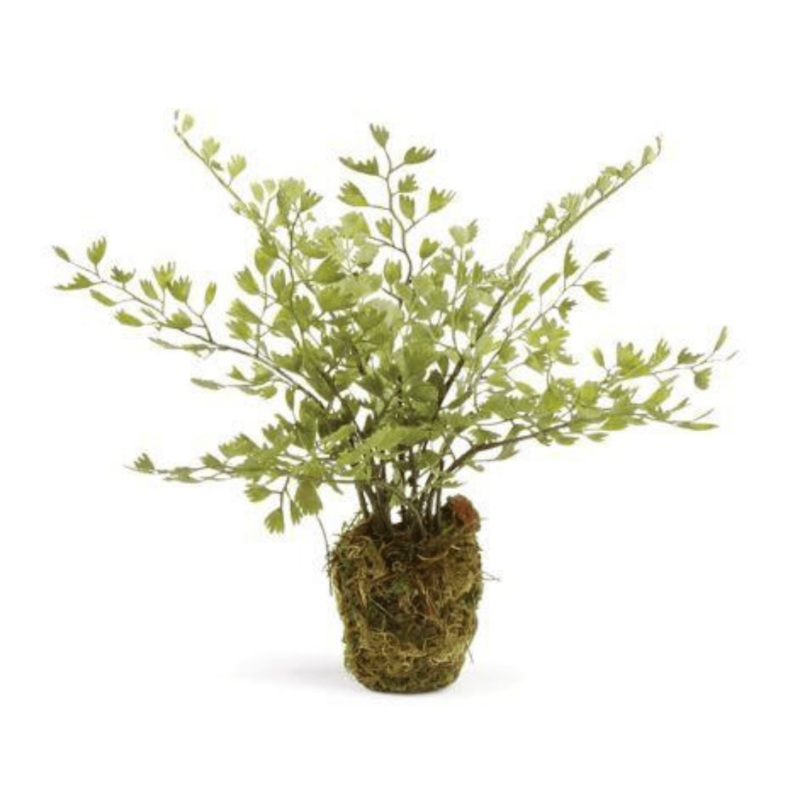 Faux Maidenhair Drop In