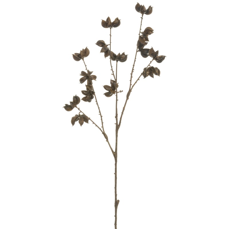 Brown Pod Spray
