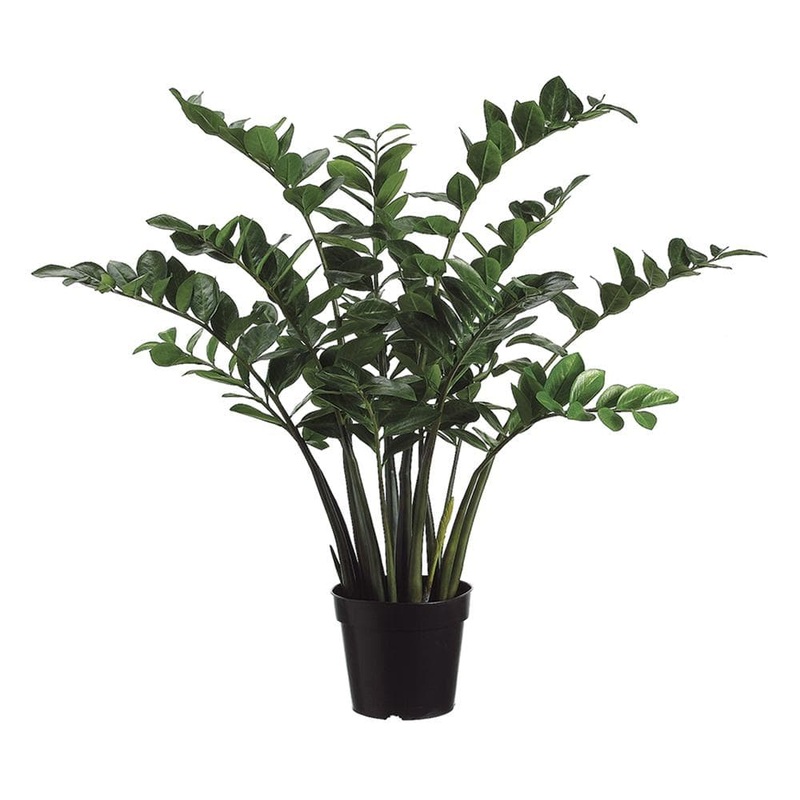 Faux Zamioculcas Zamiifolia Plant