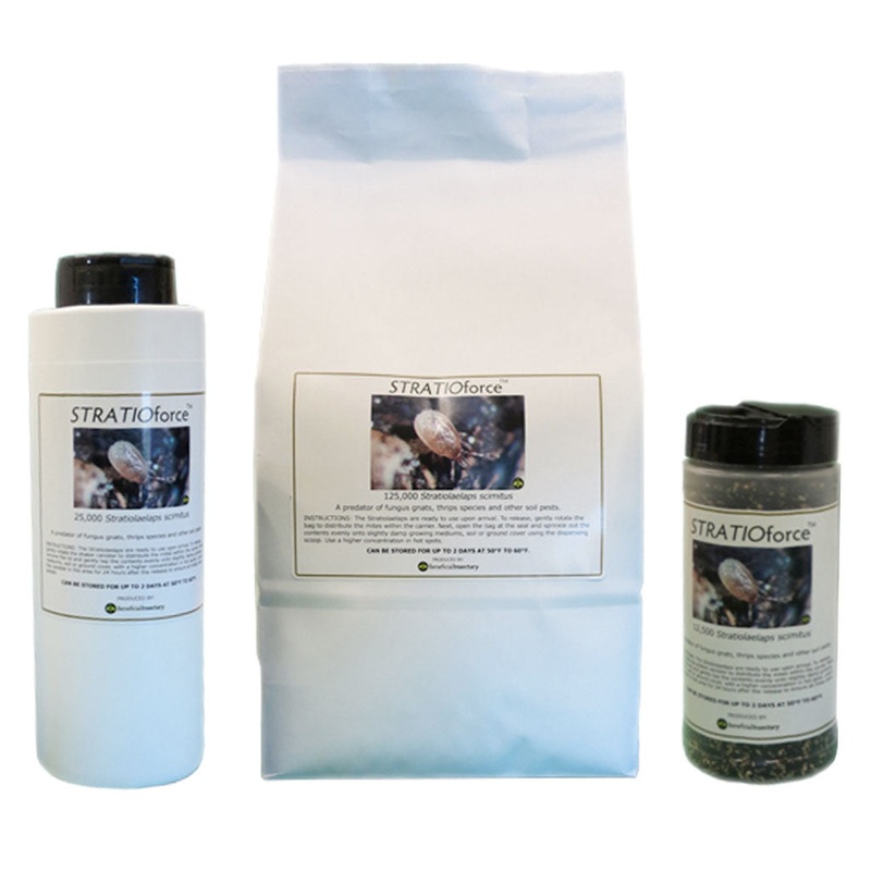 STRATIOforce for Gnat Control