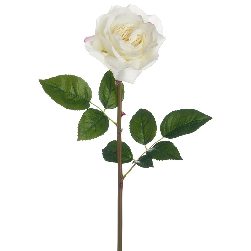 23.5″ Rose Stem – White