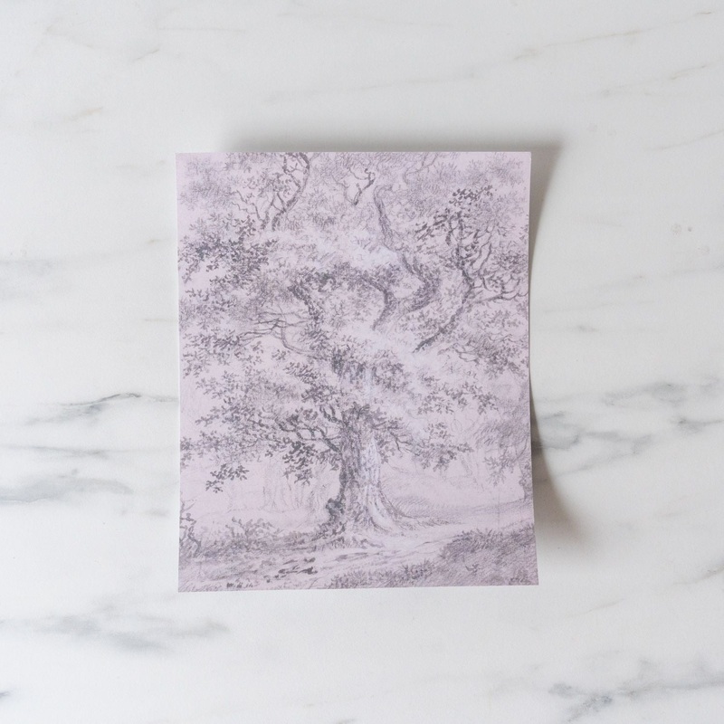 “Vintage Oak” Art Print