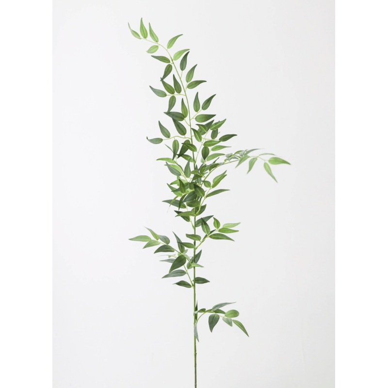 Faux Italian Ruscus Branch