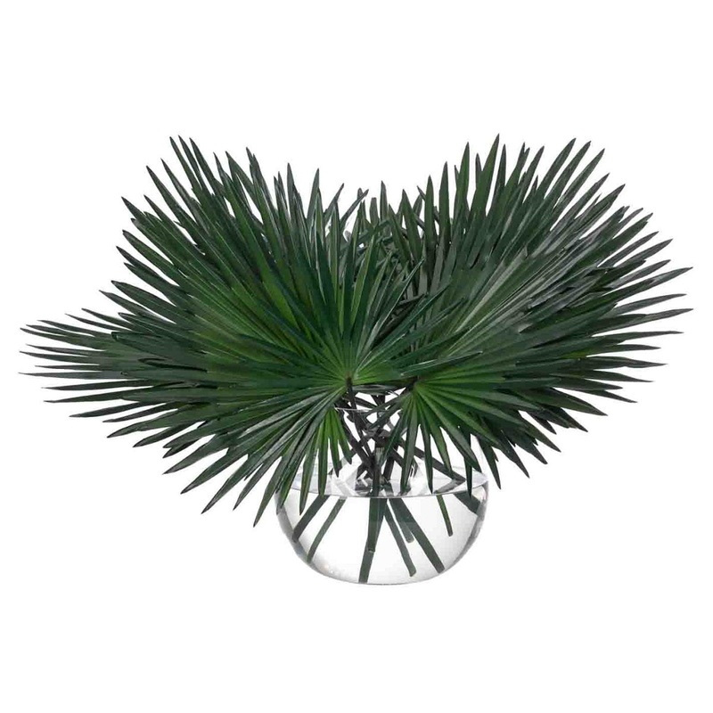LARGE FAN PALM