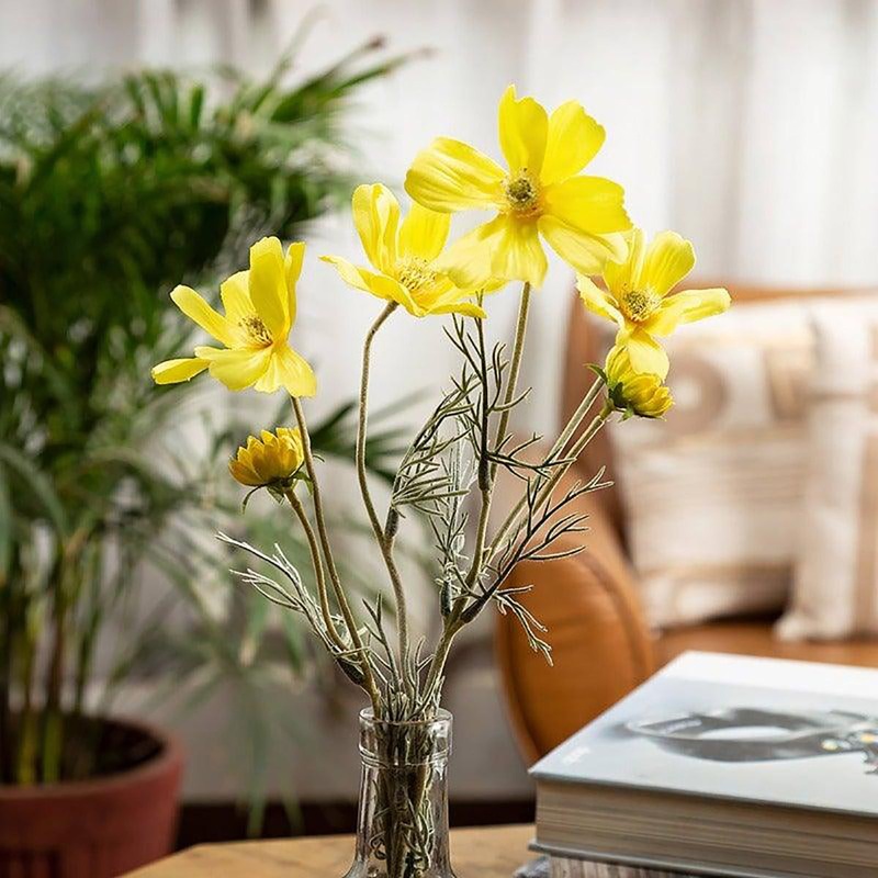 Cosmos Yellow Flowers