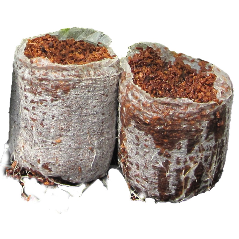RIOCOCO 32mm Closed Bottom Organic Propagation Plug – Case of 2500