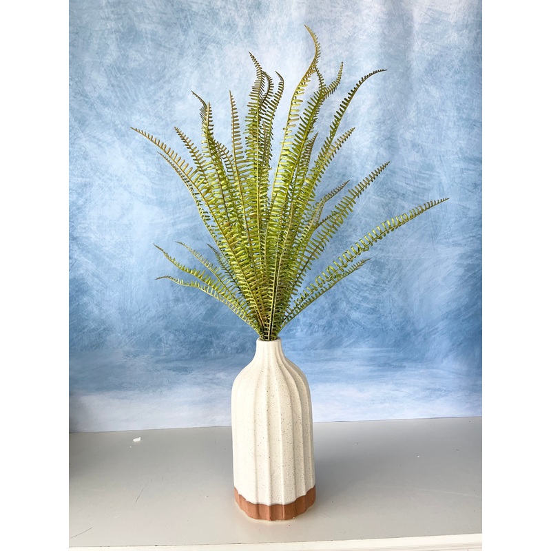 Moss Narrow Fern Cluster
