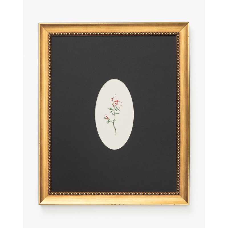 Single Blooms 2