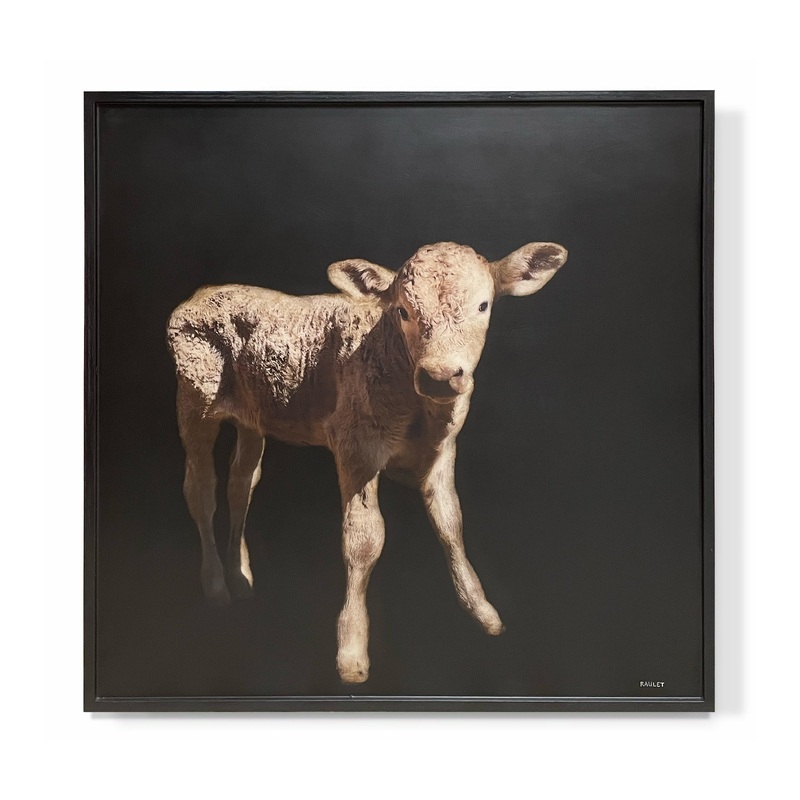 “Baby Calf”