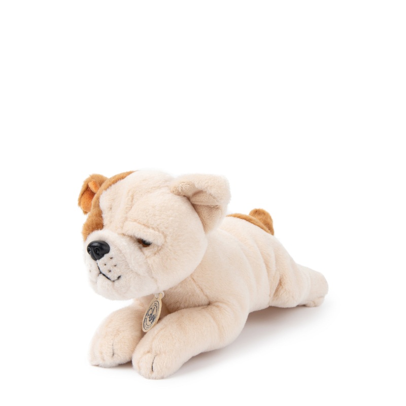 Plush BT CHAPS in Giftbox 6.5″
