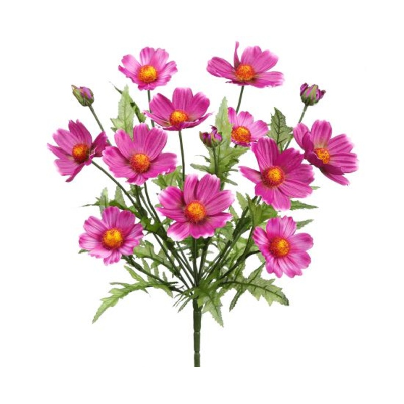 18″ Cosmos Bush