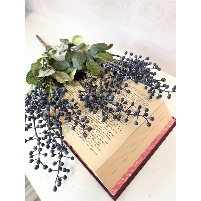 Dark Blue Foliage Seed Bush