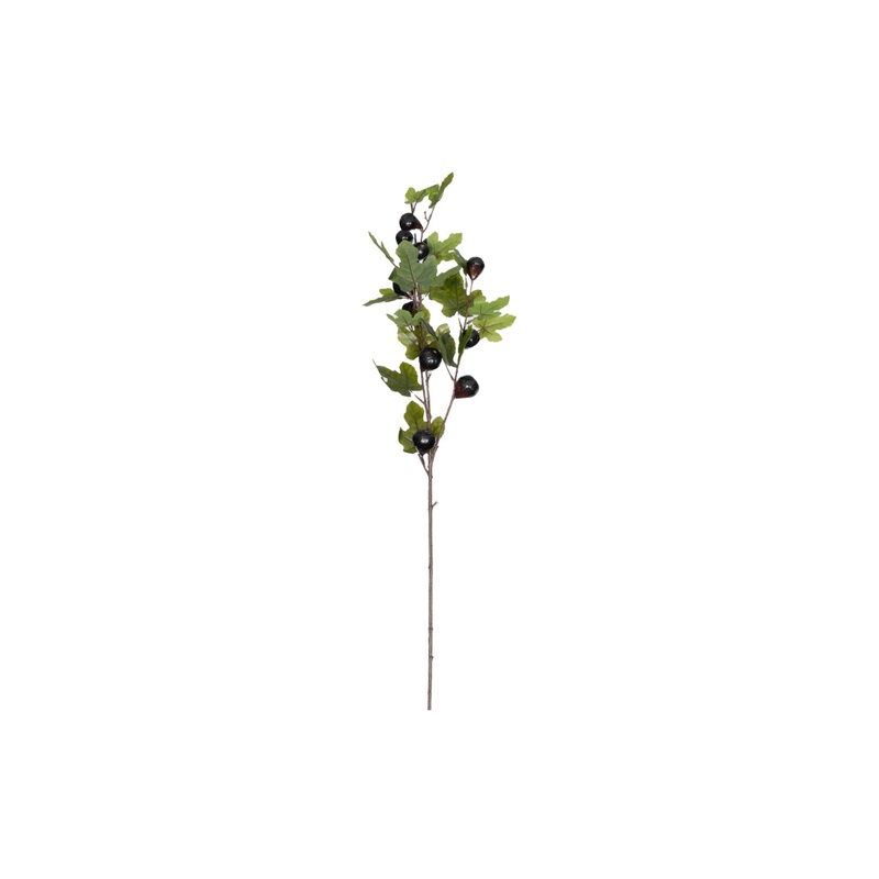 FIG STEM