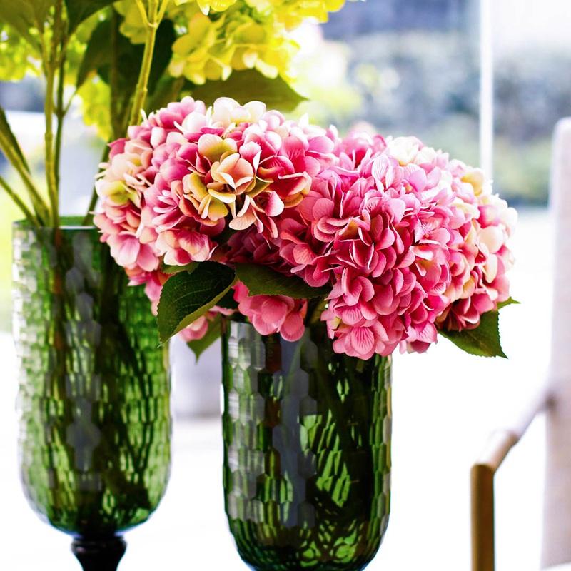 Hortensia Purple Flowers