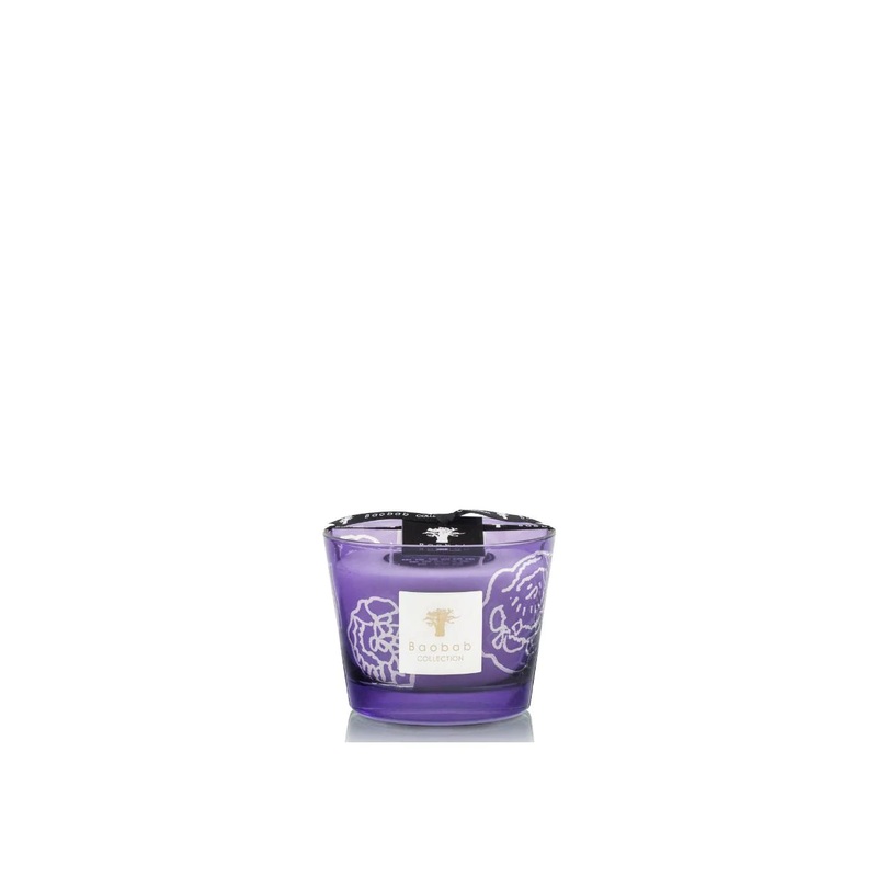 Baobab Collection Candle Collectible Roses Dark Parma