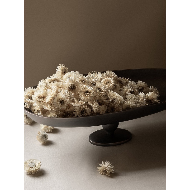 Pavot Centerpiece