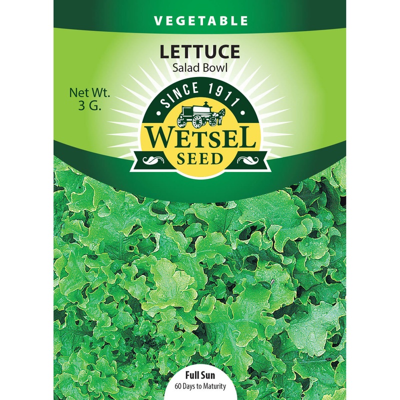 Wetsel Seed Lettuce Salad Bowl Seed