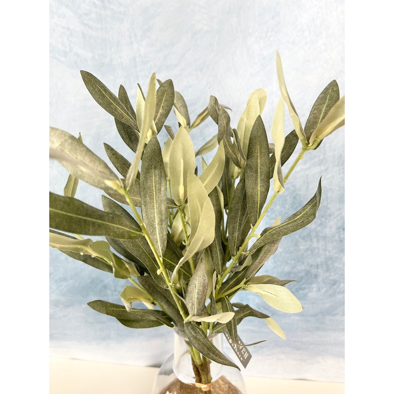 Everyday Olive Bundle