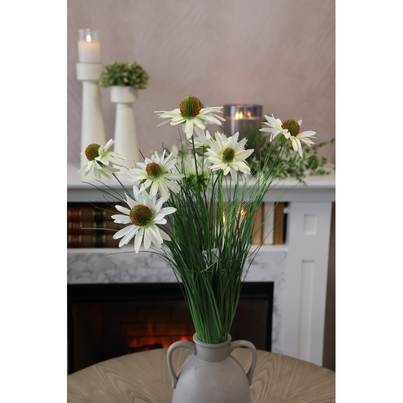 White Black-Eyed Susan Bush
